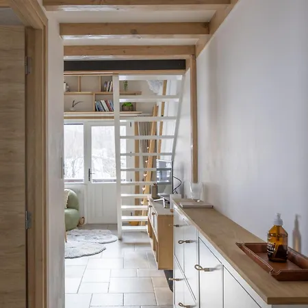1 Bedroom Mezzanine Apartment