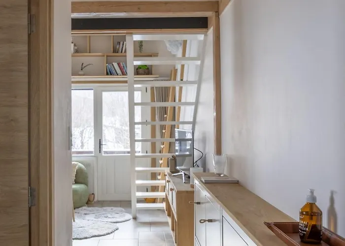 1 Bedroom Mezzanine Apartment